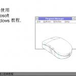 Windows Mouse Chinese