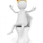 Potty king