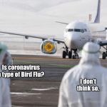Bird Flu? | Is coronavirus a type of Bird Flu? I don’t think so. | image tagged in bird flu,coronavirus,memes,airplane,airline flights,cdc | made w/ Imgflip meme maker