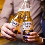 Corona virus