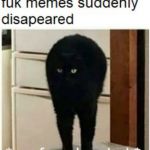 *confused as hek* | image tagged in confused as hek | made w/ Imgflip meme maker