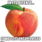 Peach | IN ITS DEFENSE... IT WAS LEFT UNSUPERVISED | image tagged in peach | made w/ Imgflip meme maker