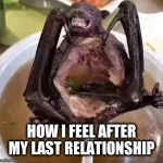 Bat soup | HOW I FEEL AFTER MY LAST RELATIONSHIP | image tagged in bat soup | made w/ Imgflip meme maker