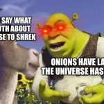 SHREK & ONIONS | WHEN YOU SAY WHAT IS THE TRUTH ABOUT THE UNIVERSE TO SHREK; ONIONS HAVE LAYERS THE UNIVERSE HAS LAYERS | image tagged in shrek  onions | made w/ Imgflip meme maker