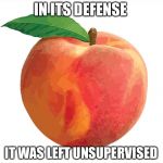 Peach | IN ITS DEFENSE; IT WAS LEFT UNSUPERVISED | image tagged in peach | made w/ Imgflip meme maker