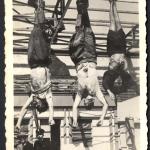Mussolini hanged when his Teflon wore off meme