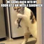 Hungry cat | ME GOING BACK INTO MY ROOM AT 3 AM WITH A SANDWICH | image tagged in hungry cat | made w/ Imgflip meme maker