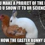 Easter eggs | WHEN U MAKE A PROJECT OF THE EASTER BUNNY AND U SHOW IT TO UR SCIENCE TEACHER; ME:THIS IS HOW THE EASTER BUNNY LAYED EGGS | image tagged in easter eggs | made w/ Imgflip meme maker