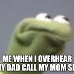 ANGERY | ME WHEN I OVERHEAR MY DAD CALL MY MOM SIS | image tagged in angery | made w/ Imgflip meme maker