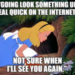 Alice Looking Down the Rabbit Hole | "GOING LOOK SOMETHING UP REAL QUICK ON THE INTERNET.... NOT SURE WHEN I'LL SEE YOU AGAIN." | image tagged in alice looking down the rabbit hole | made w/ Imgflip meme maker