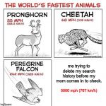 The world's fastest animals | me trying to delete my search history before my mom comes in to check. 5000 mph (767 km/h) | image tagged in the world's fastest animals | made w/ Imgflip meme maker