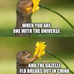 Squirrel Smelling Flower | WHEN YOU ARE ONE WITH THE UNIVERSE; AND THE GAZELLE FLU BREAKS OUT IN CHINA | image tagged in squirrel smelling flower,pandeic,coronavirus,flu,sick,sick humor | made w/ Imgflip meme maker