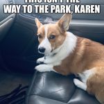 Suspicious Dog In Car | THIS ISN’T THE WAY TO THE PARK, KAREN | image tagged in suspicious dog in car | made w/ Imgflip meme maker
