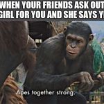 Apes Together Strong | WHEN YOUR FRIENDS ASK OUT A GIRL FOR YOU AND SHE SAYS YES | image tagged in apes together strong | made w/ Imgflip meme maker