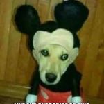 Cursed Mickey Dog | Nobody:
Youtubers:; LIKE AND SUBSCRIBE OR THIS WILL BE IN YOUR BEDROOM TONIGHT | image tagged in cursed mickey dog | made w/ Imgflip meme maker