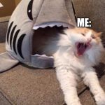 Shark cat | MONDAY:; ME: | image tagged in shark cat | made w/ Imgflip meme maker