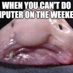 Blobfish | WHEN YOU CAN'T DO COMPUTER ON THE WEEKENDS | image tagged in blobfish | made w/ Imgflip meme maker