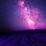 Pink Galaxy over Lavenderfield