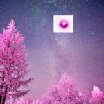Pink Trees Galaxy | WHEN A WHITE HOLE ENTERS GALAXY; *SAD GRAVATATIONAL NOISES* | image tagged in pink trees galaxy | made w/ Imgflip meme maker