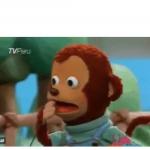 Shocked monkey puppet meme