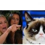 Woman yelling a Grumpy Cat