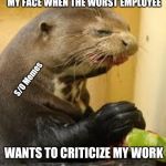 Disgusted Otter | MY FACE WHEN THE WORST EMPLOYEE; S/O Memes; WANTS TO CRITICIZE MY WORK | image tagged in disgusted otter | made w/ Imgflip meme maker