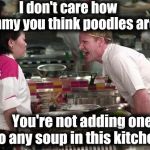 Gordon Ramsey | I don't care how yummy you think poodles are! You're not adding one to any soup in this kitchen!! | image tagged in gordon ramsey | made w/ Imgflip meme maker