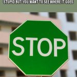 Green stop sign  | WHEN YOU FRIEND IS GOING TO DO SOMETHING STUPID BUT YOU WANT TO SEE WHERE IT GOES | image tagged in green stop sign | made w/ Imgflip meme maker