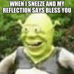 wlnqlfnaef | WHEN I SNEEZE AND MY REFLECTION SAYS BLESS YOU | image tagged in wlnqlfnaef | made w/ Imgflip meme maker