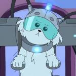 Where are my testicles summer