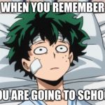 Deku is scarred | WHEN YOU REMEMBER; YOU ARE GOING TO SCHOOL | image tagged in deku is scarred | made w/ Imgflip meme maker