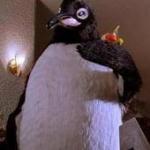Billy Madison Penguin