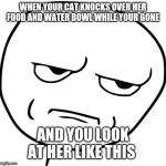 Disappointed Stick Man | WHEN YOUR CAT KNOCKS OVER HER FOOD AND WATER BOWL WHILE YOUR GONE; AND YOU LOOK AT HER LIKE THIS | image tagged in disappointed stick man | made w/ Imgflip meme maker