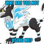 search torracat | WHY ARE YOU NOT; USING ME? | image tagged in torracat ice mode | made w/ Imgflip meme maker