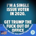 Vote Blue No Matter Who