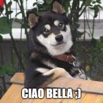 Cool dog | CIAO BELLA ;) | image tagged in cool dog | made w/ Imgflip meme maker