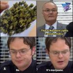 office weed