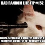 Dead Cat | BAD RANDOM LIFE TIP #157:; WE KNOW A CAT LEAVING A HEADLESS MOUSE IS A SIGN OF LOVE, SO LEAVING A HEADLESS CAT MEANS EVEN MORE LOVE. | image tagged in dead cat | made w/ Imgflip meme maker