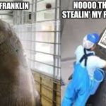 I has a bucket | NOOOO THEY BE STEALIN' MY FRANKLIN; I HAS A FRANKLIN | image tagged in i has a bucket | made w/ Imgflip meme maker