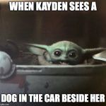 Baby Yoda Happy | WHEN KAYDEN SEES A; DOG IN THE CAR BESIDE HER | image tagged in baby yoda happy | made w/ Imgflip meme maker
