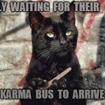 cat filing nails | PATIENTLY  WAITING  FOR  THEIR; KARMA  BUS  TO  ARRIVE | image tagged in cat filing nails | made w/ Imgflip meme maker