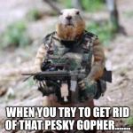 Freedom Fighters | WHEN YOU TRY TO GET RID OF THAT PESKY GOPHER....... | image tagged in freedom fighters | made w/ Imgflip meme maker