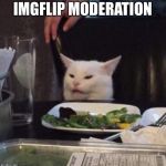 Annoyed White Cat | IMGFLIP MODERATION | image tagged in annoyed white cat,imgflip,imgflip mods | made w/ Imgflip meme maker