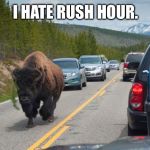 Yak yak yak | I HATE RUSH HOUR. | image tagged in yak yak yak | made w/ Imgflip meme maker