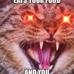 ANGURY AS HELL! | WHEN A CAT EATS YOUR FOOD; AND YOU WOULD BE LIKE: | image tagged in angury as hell | made w/ Imgflip meme maker