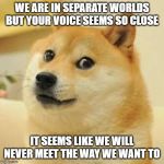 Square Doge | WE ARE IN SEPARATE WORLDS BUT YOUR VOICE SEEMS SO CLOSE; IT SEEMS LIKE WE WILL NEVER MEET THE WAY WE WANT TO | image tagged in square doge | made w/ Imgflip meme maker