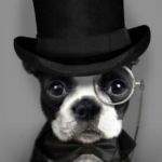 dog with top hat | WORD CHOICE; MAKES ME FANCY | image tagged in dog with top hat | made w/ Imgflip meme maker
