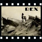 Rex the wonder horse