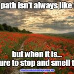 nature based god | Our path isn't always like this; but when it is...
Be sure to stop and smell them; www.mandalahealingcenter.net | image tagged in nature based god | made w/ Imgflip meme maker