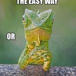 Sarcastic Lizard | WE CAN DO THIS THE EASY WAY; OR; THE HARD WAY | image tagged in sarcastic lizard | made w/ Imgflip meme maker